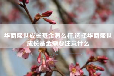 华商盛世成长基金怎么样,选择华商盛世成长基金需要注意什么