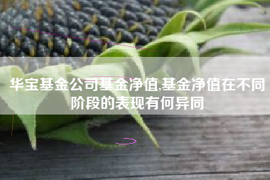华宝基金公司基金净值,基金净值在不同阶段的表现有何异同