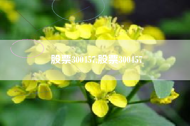 股票300457,股票300457
