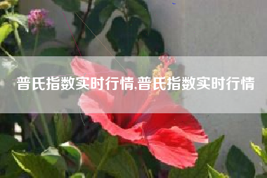 普氏指数实时行情,普氏指数实时行情
