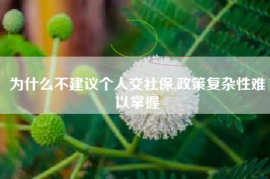 为什么不建议个人交社保,政策复杂性难以掌握