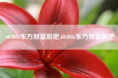 603086东方财富股吧,603086东方财富股吧