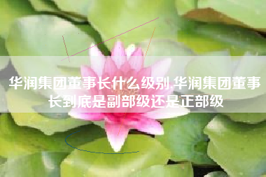 华润集团董事长什么级别,华润集团董事长到底是副部级还是正部级