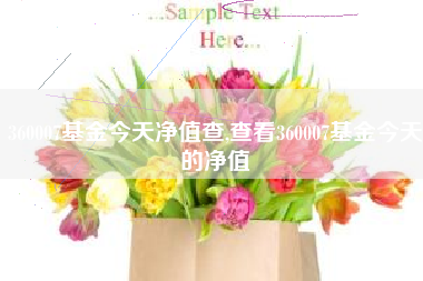 360007基金今天净值查,查看360007基金今天的净值