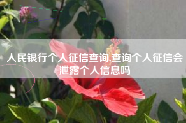 人民银行个人征信查询,查询个人征信会泄露个人信息吗