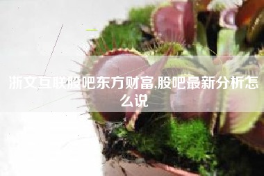 浙文互联股吧东方财富,股吧最新分析怎么说