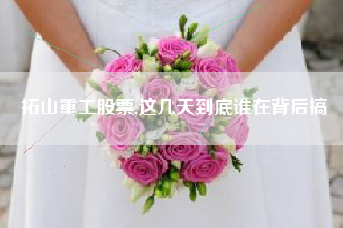 拓山重工股票,这几天到底谁在背后搞
