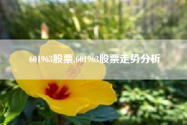 601963股票,601963股票走势分析