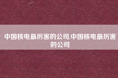 中国核电最厉害的公司,中国核电最厉害的公司