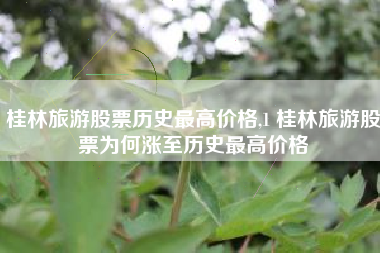 桂林旅游股票历史最高价格,1 桂林旅游股票为何涨至历史最高价格