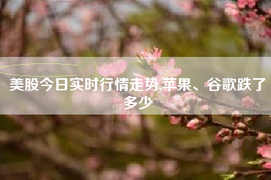 美股今日实时行情走势,苹果、谷歌跌了多少