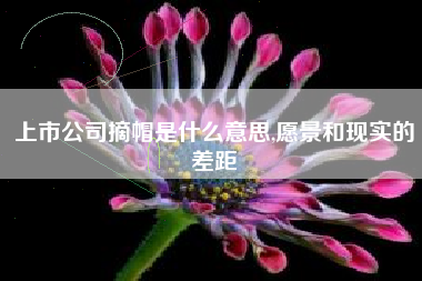上市公司摘帽是什么意思,愿景和现实的差距