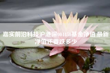 嘉实前沿科技沪港深004450基金净值,最新净值还要跌多少