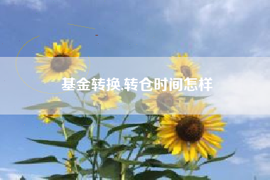 基金转换,转仓时间怎样