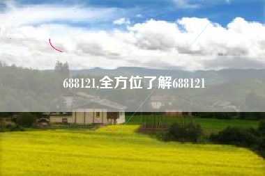 688121,全方位了解688121