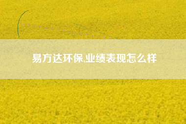 易方达环保,业绩表现怎么样