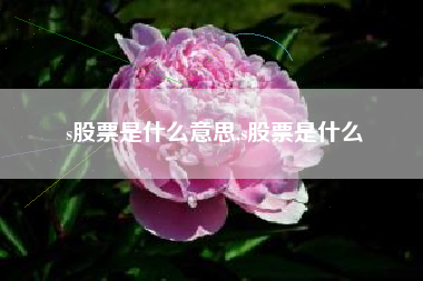 s股票是什么意思,s股票是什么