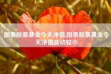 国泰股票基金今天净值,国泰股票基金今天净值波动较小