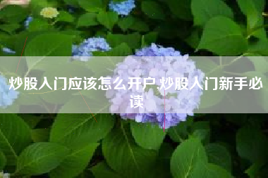 炒股入门应该怎么开户,炒股入门新手必读