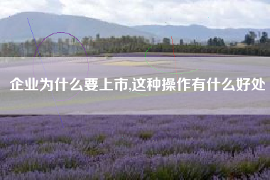 企业为什么要上市,这种操作有什么好处