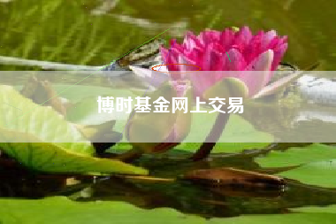 博时基金网上交易