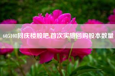 605108同庆楼股吧,首次实施回购股本数量