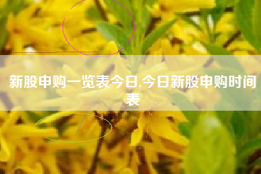新股申购一览表今日,今日新股申购时间表