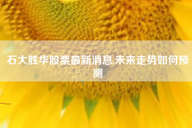 石大胜华股票最新消息,未来走势如何预测