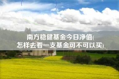 南方稳健基金今日净值(
怎样去看一支基金可不可以买)