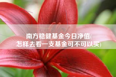 南方稳健基金今日净值(
怎样去看一支基金可不可以买)