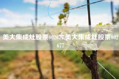 美大集成灶股票002677,美大集成灶股票002677