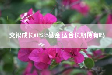 交银成长012582基金,适合长期持有吗