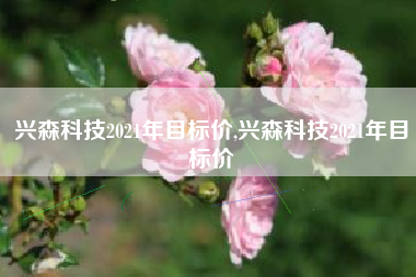 兴森科技2021年目标价,兴森科技2021年目标价