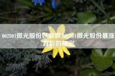 002801微光股份妖股啊,002801微光股份暴涨背后的秘密