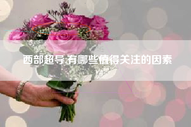 西部超导,有哪些值得关注的因素