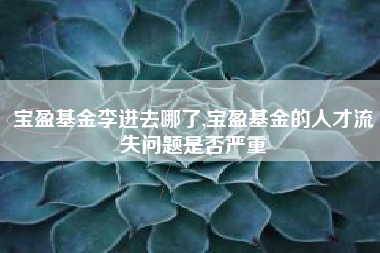 宝盈基金李进去哪了,宝盈基金的人才流失问题是否严重