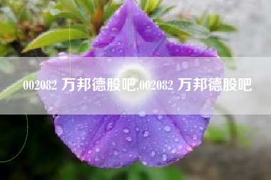 002082 万邦德股吧,002082 万邦德股吧