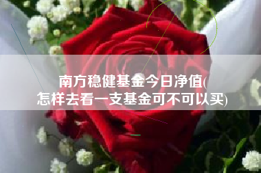 南方稳健基金今日净值(
怎样去看一支基金可不可以买)