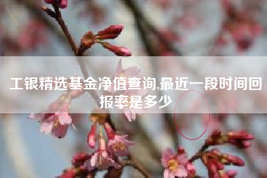 工银精选基金净值查询,最近一段时间回报率是多少