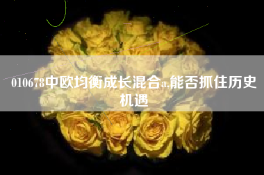 010678中欧均衡成长混合a,能否抓住历史机遇