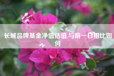 长城品牌基金净值估值,与前一日相比如何
