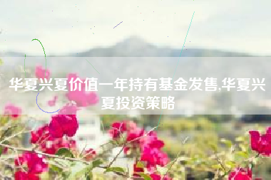 华夏兴夏价值一年持有基金发售,华夏兴夏投资策略