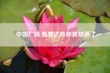 中国广核,看看这些你就知道了