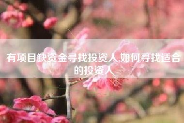 有项目缺资金寻找投资人,如何寻找适合的投资人