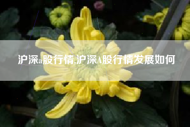 沪深a股行情,沪深A股行情发展如何