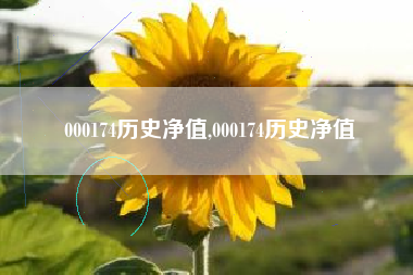 000174历史净值,000174历史净值