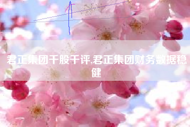 君正集团千股千评,君正集团财务数据稳健