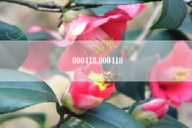 000418,000418