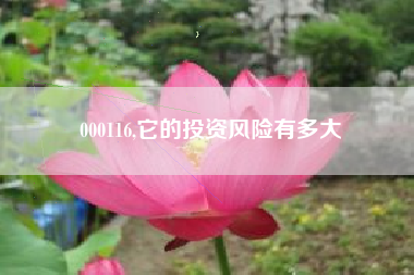 000116,它的投资风险有多大