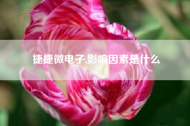 捷捷微电子,影响因素是什么
